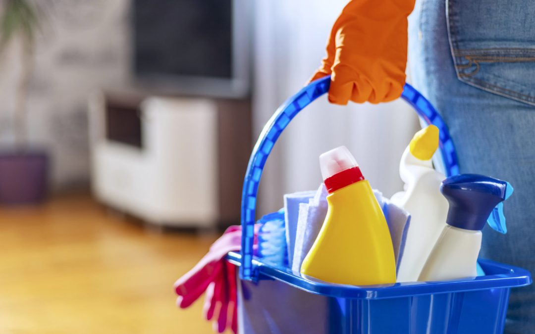 Professional Cleaning Services in Boca Raton