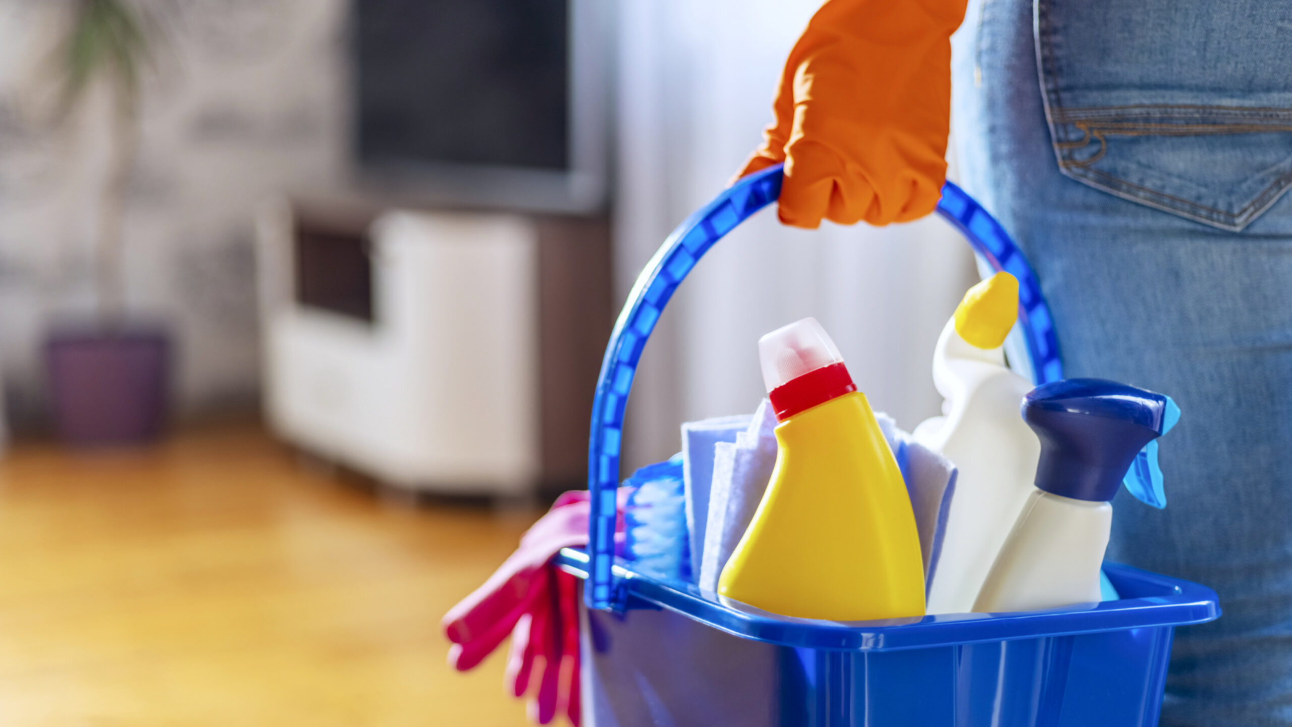 Professional Cleaning Services in Boca Raton